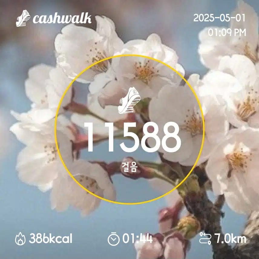 4일차 