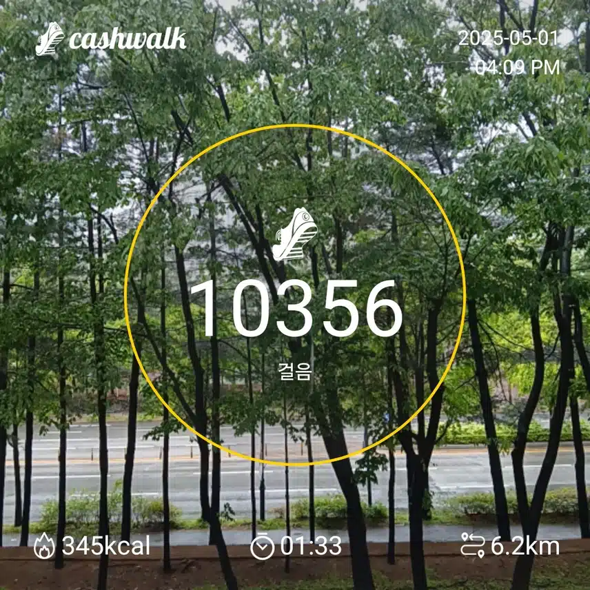 목요일 걷기운동^^