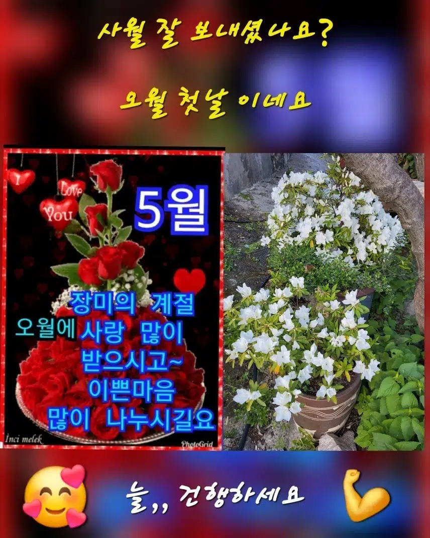  오늘도 새벽운동 만보걷기 
