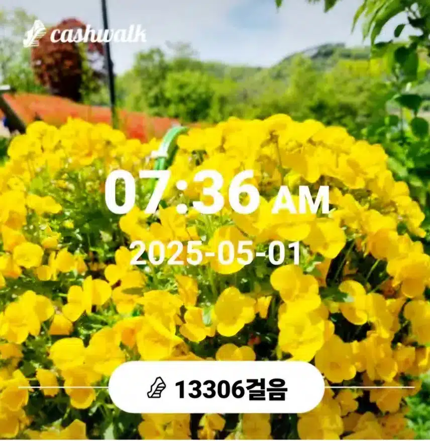  오늘도 새벽운동 만보걷기 