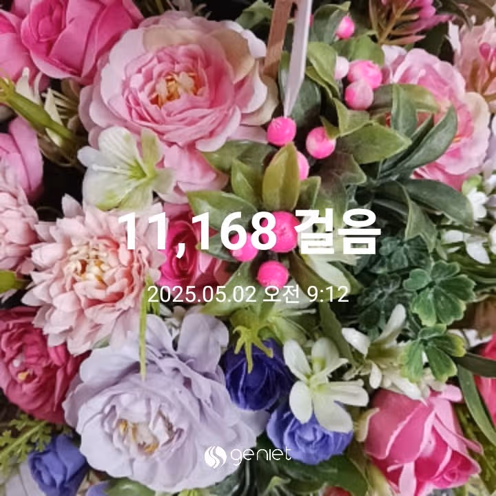 오전 운동 