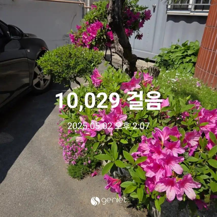 만보걷기 완료 