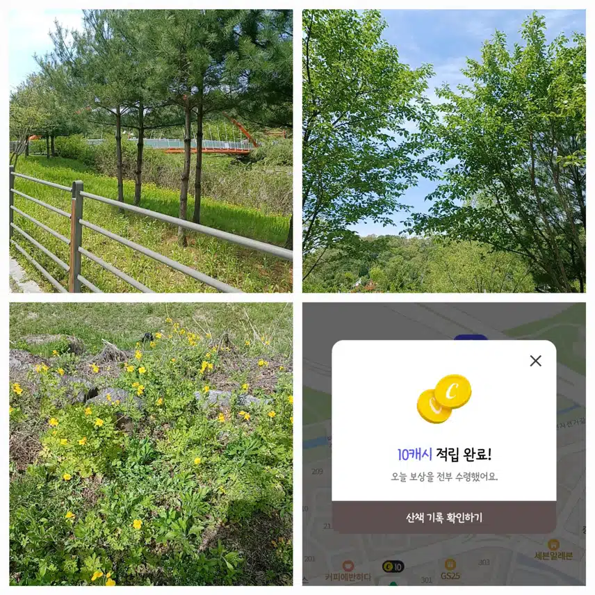 아침 식후, 걷기 했어요!