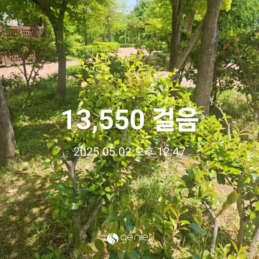 푸른 숲길 만보걷기와 계단오르기 