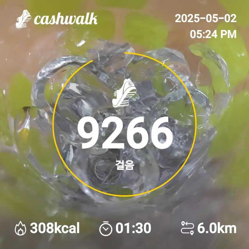 인증