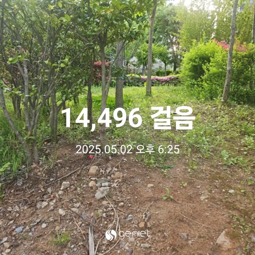 저녁 산책길 걸었네요.🌳 