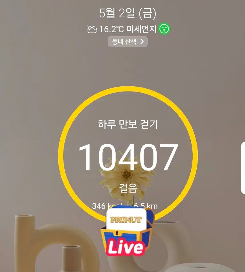 1만보 걷기 운동