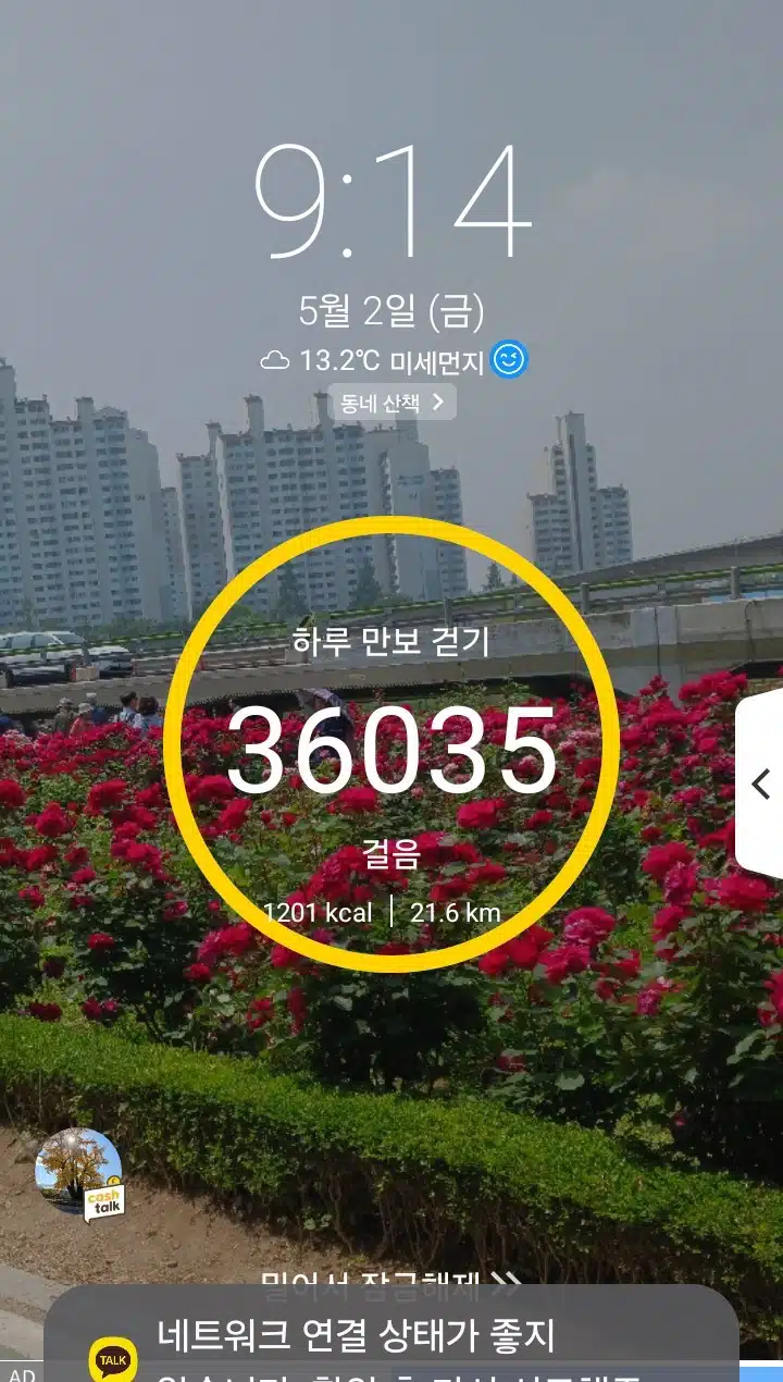 삼만보 걷기 