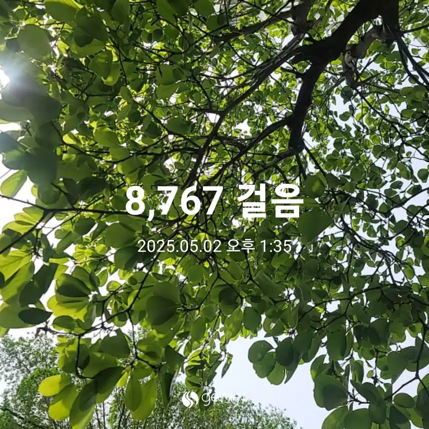 금요일 마무리