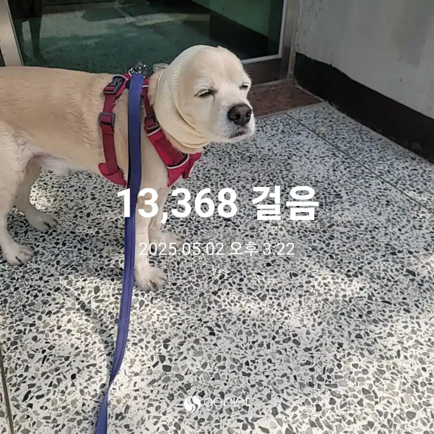 금요일 마무리
