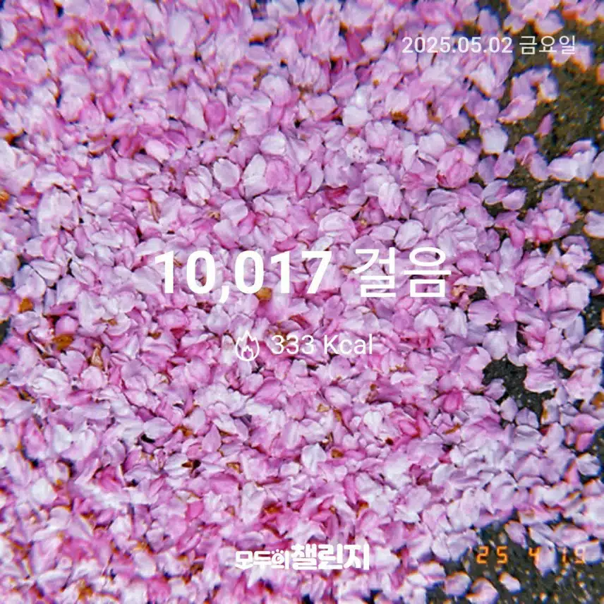 5월 2일 만보 완주 