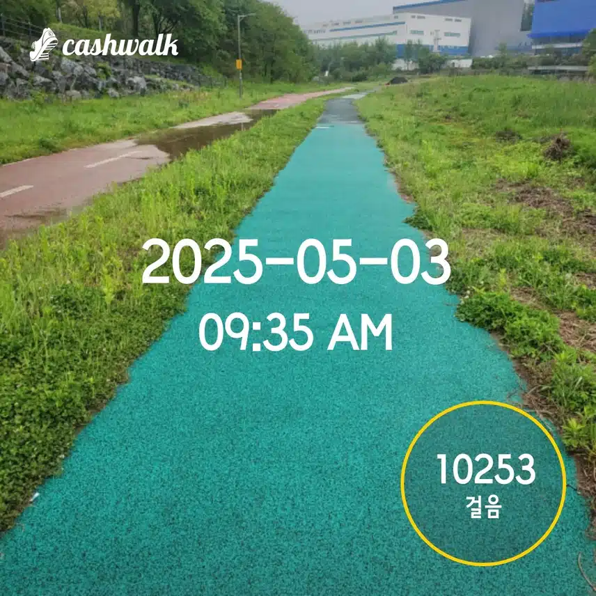 💪5.3  만보걷기 💕