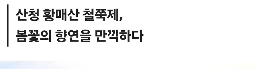 산청 황매산 철쭉축제