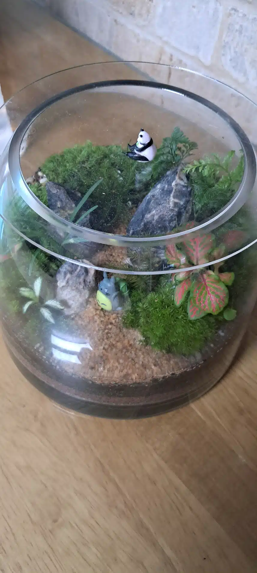 테라리움 이끼