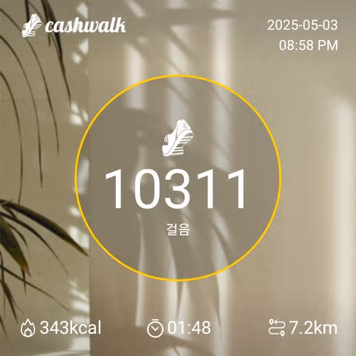 토요일 만보완료 