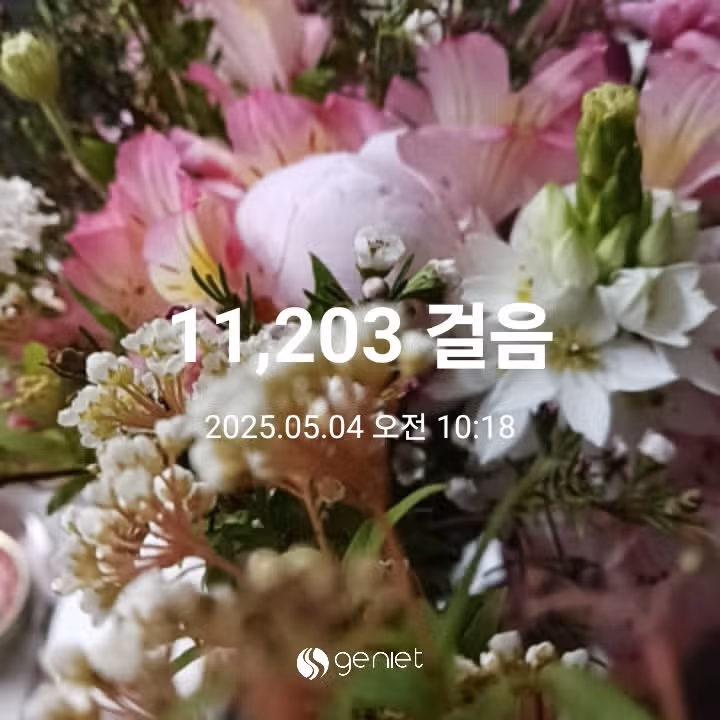 오전운동 