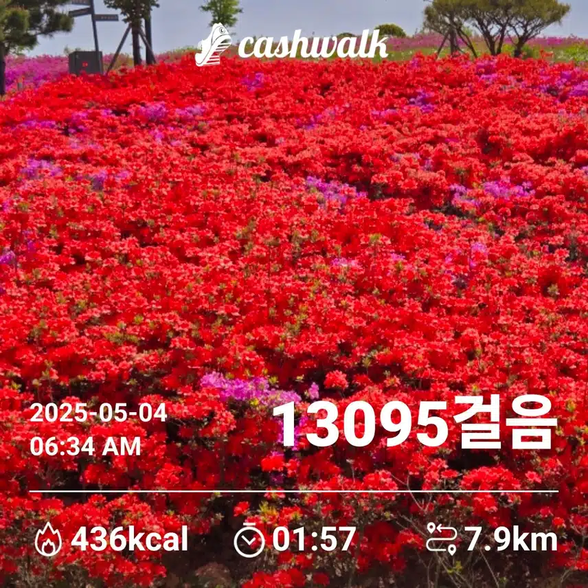   오늘도 새벽운동 만보걷기 