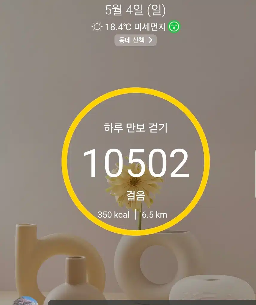  걷기 운동