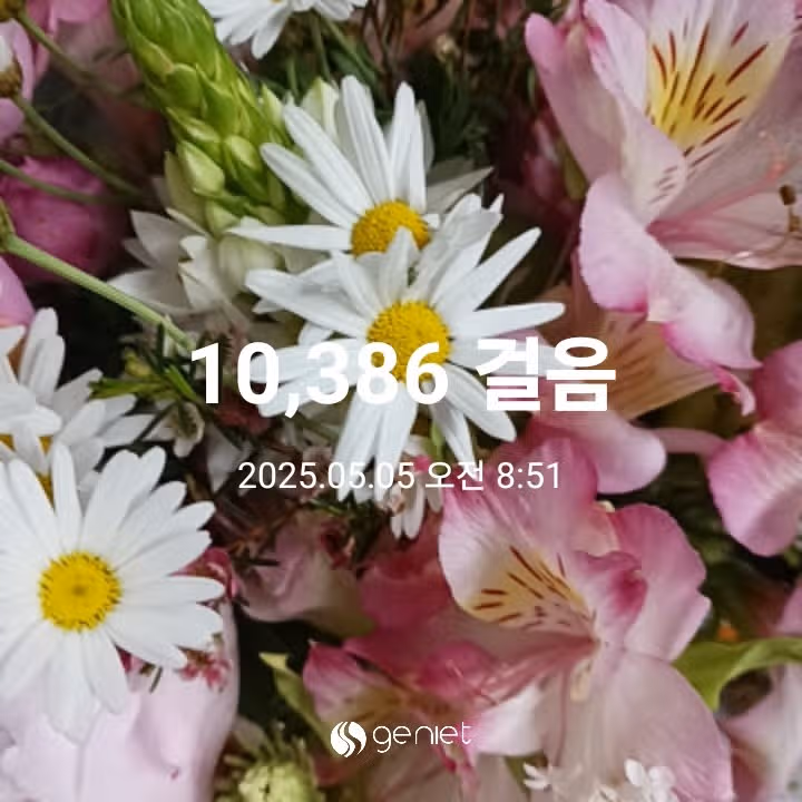 오전 운동 