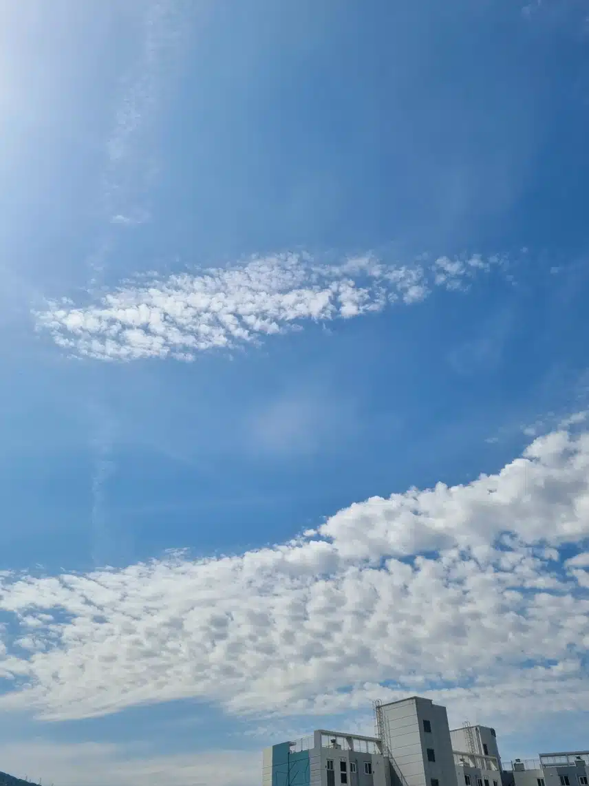    👍넘~하얀구름이 좋네요👍