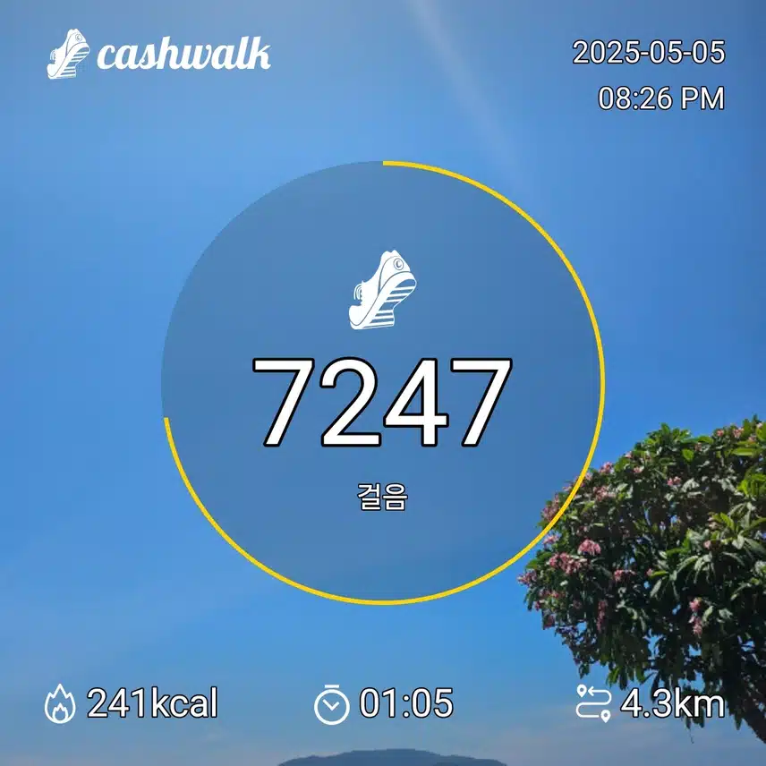 오늘 걸음수체크♡