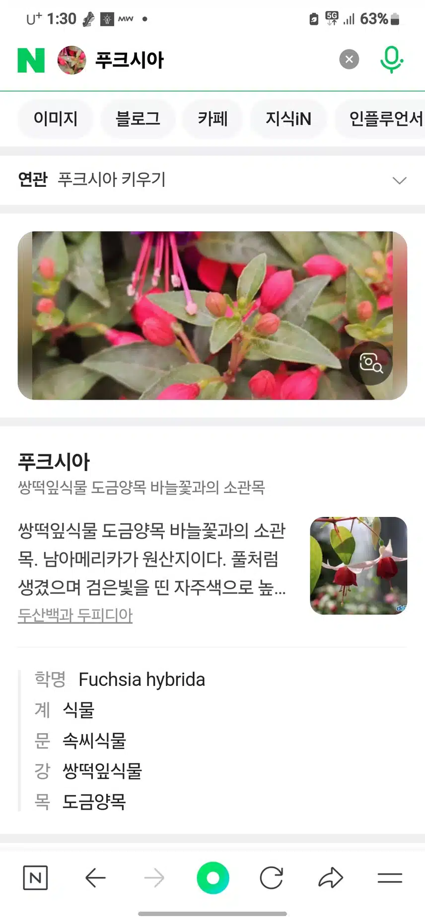 저도 절에서 본 꽃입니다. 
