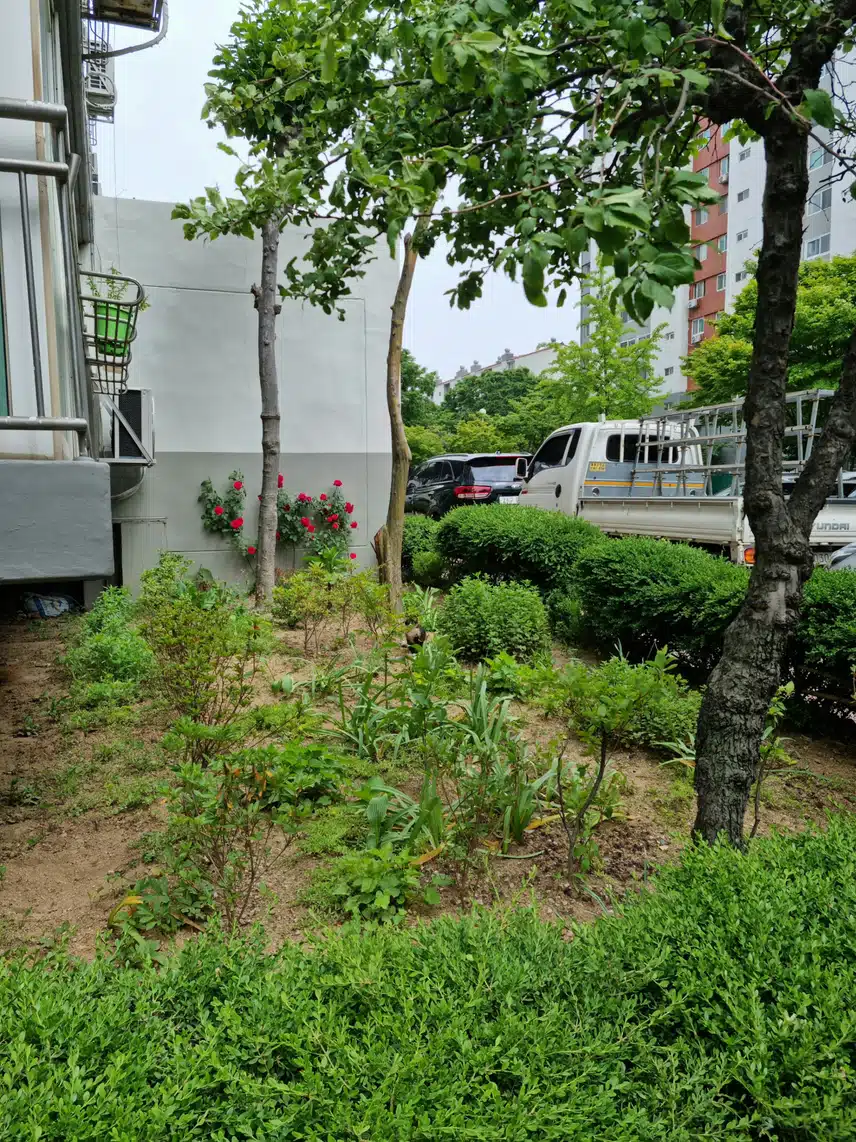 모닝 산책 완료했어요.