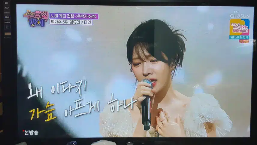 염유리님의 아름다운곡 타인 불렀어요