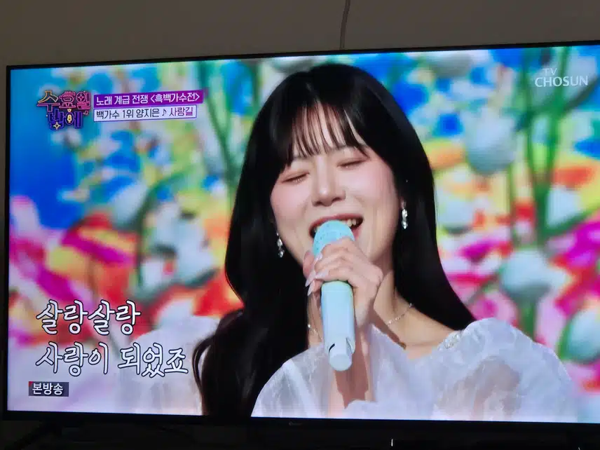 양지은님의 봄바람에 흔들리는 꽃같은 무대였어요