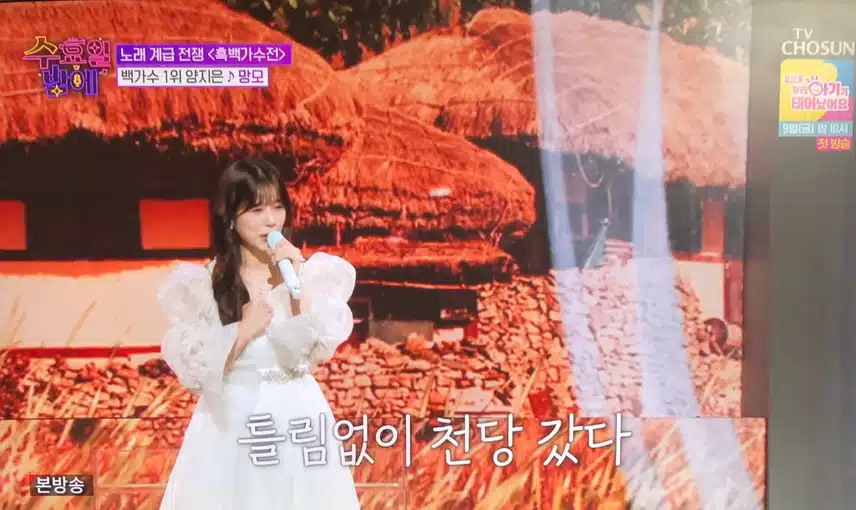 양지은님이 부르는 망모