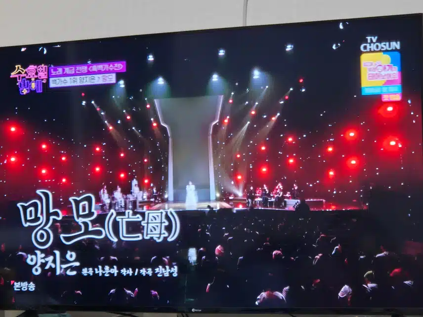 양지은님의 눈물바다를 만든 망모 무대였네요