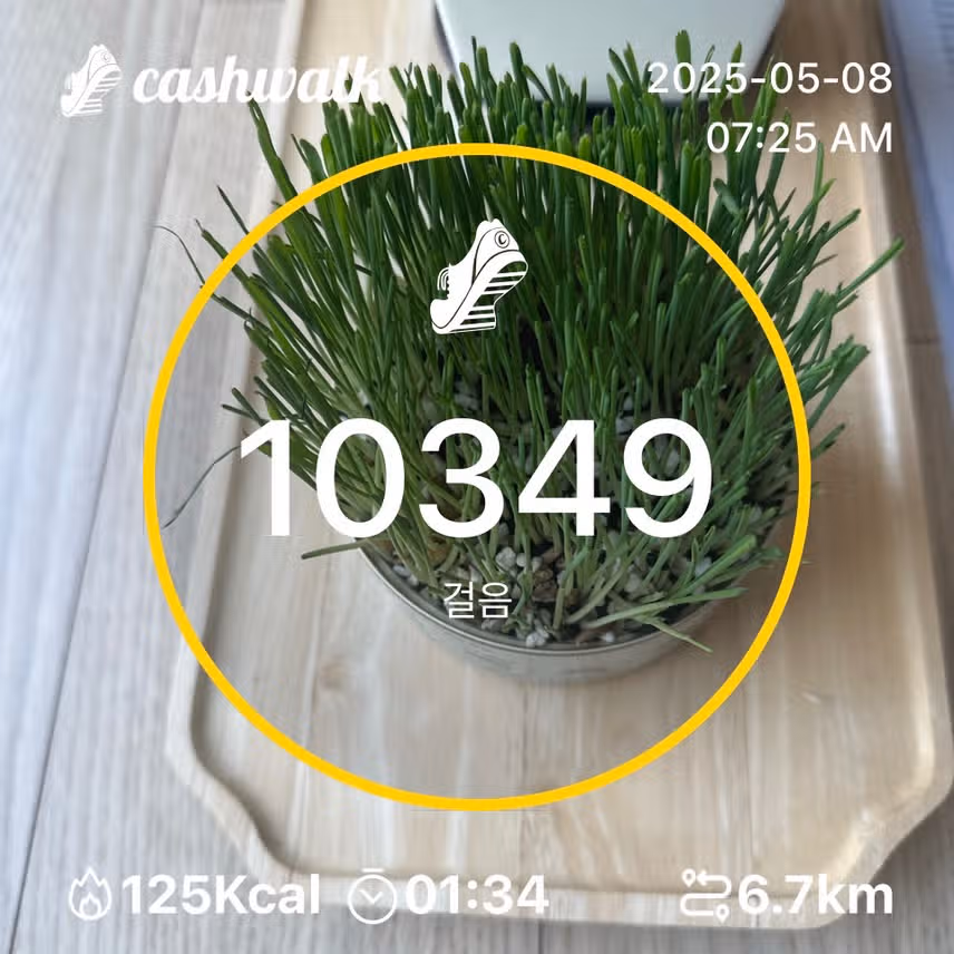 인증