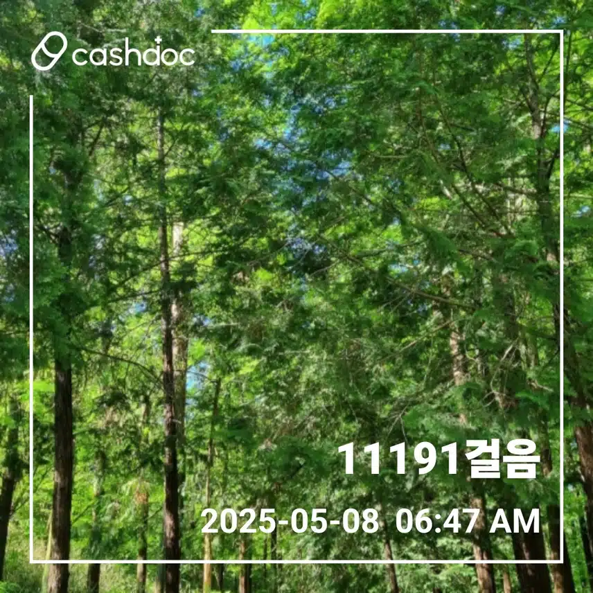     🌸오늘도 만보걷기 새벽운동 🌸