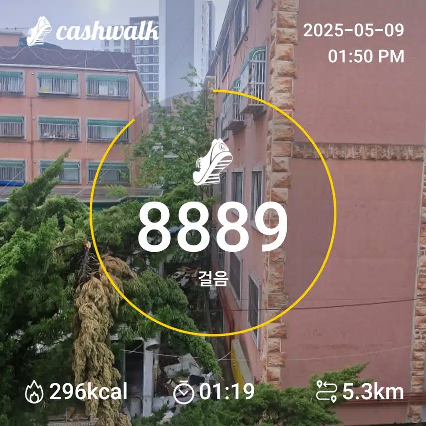 인증