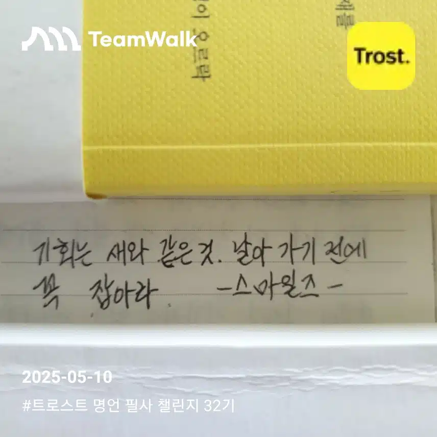 기회가 올 때 잡아라