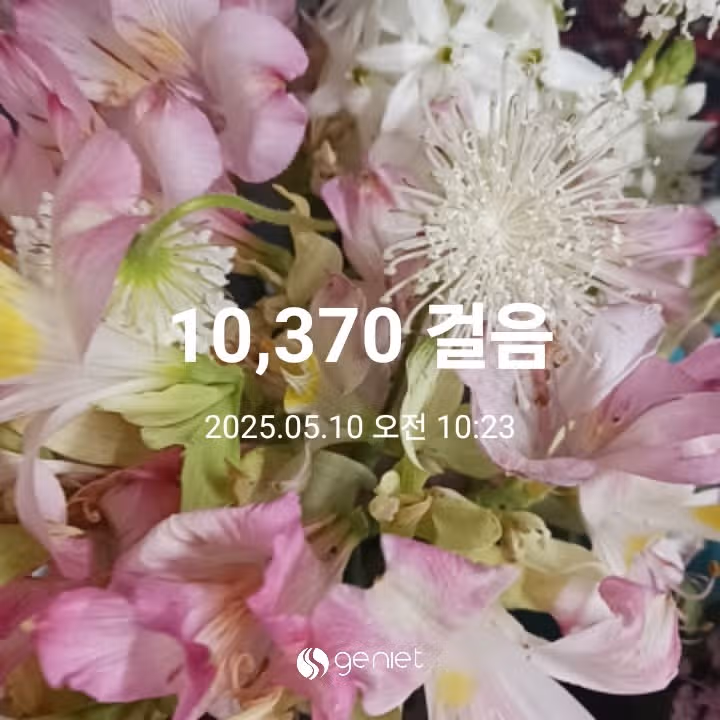 오전 운동 