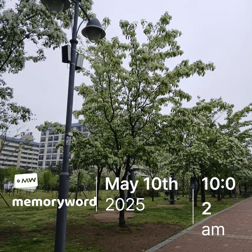 쌀꽃