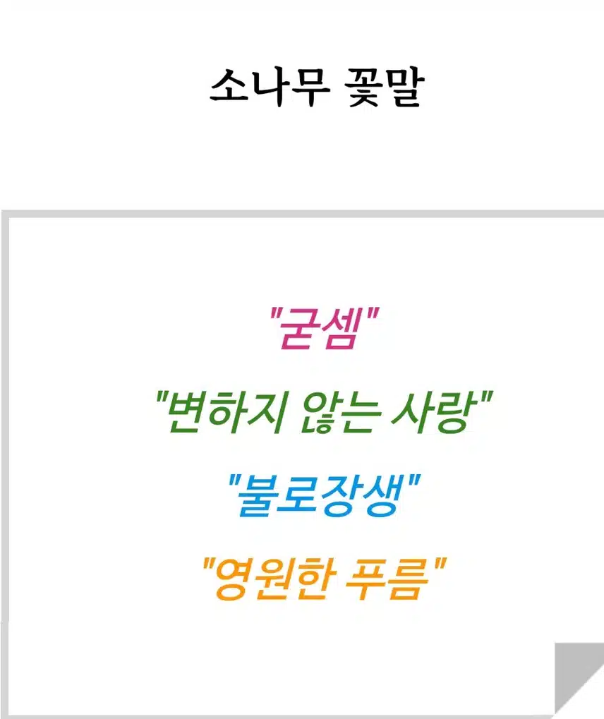 송화!  🌲