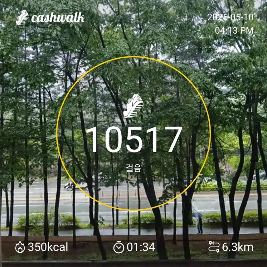 토요일 걷기운동^^