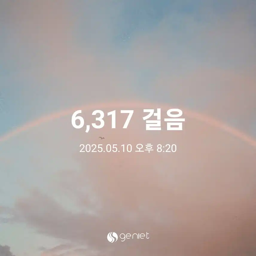 토요일 걷기운동