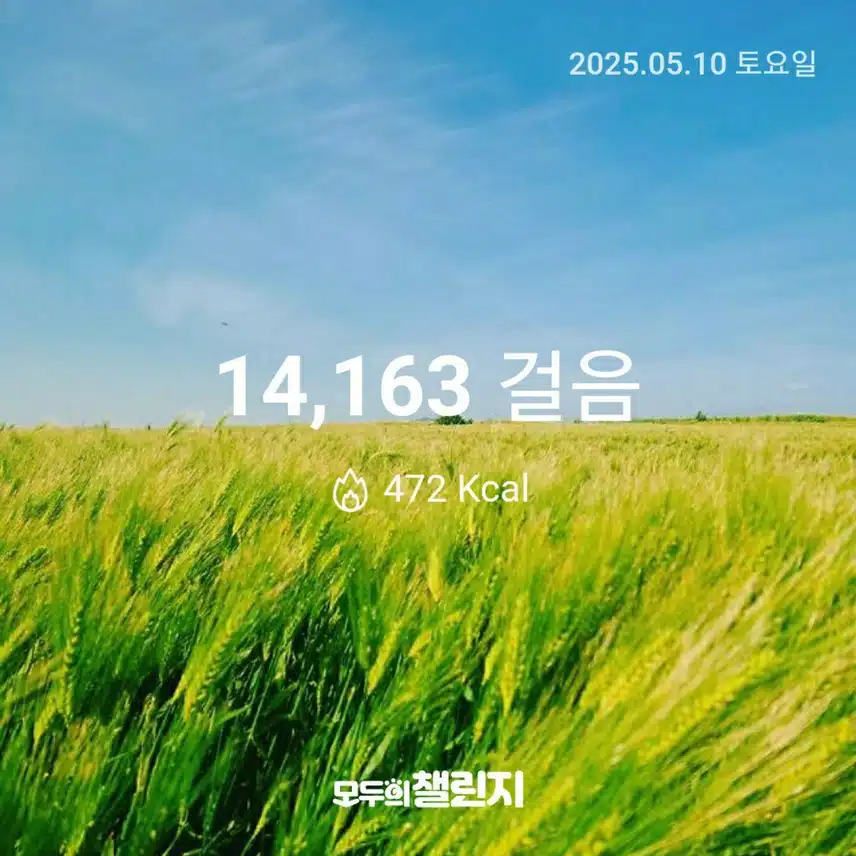 5월 10일 만사천보 완주 