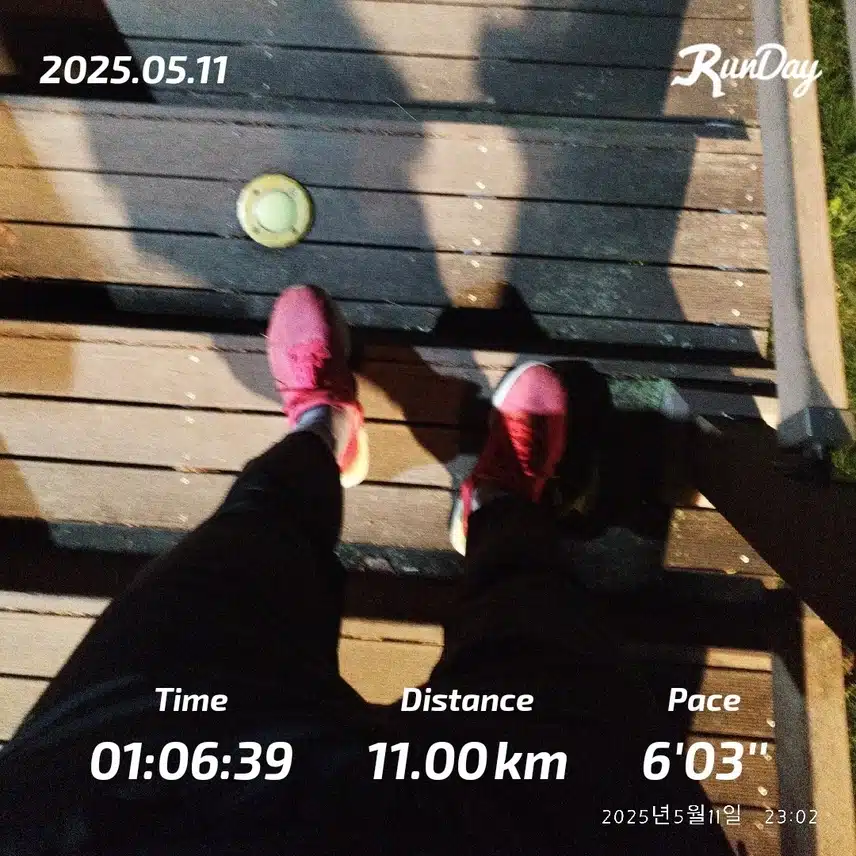 11km 즐겁게 달렸습니다🏃🏻‍♂️