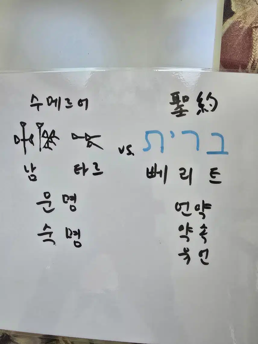 ברית