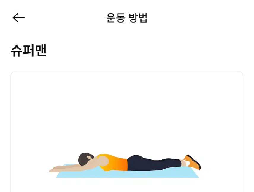 (캐시홈트) 전신 군살 빠지는 킥복싱 운동 