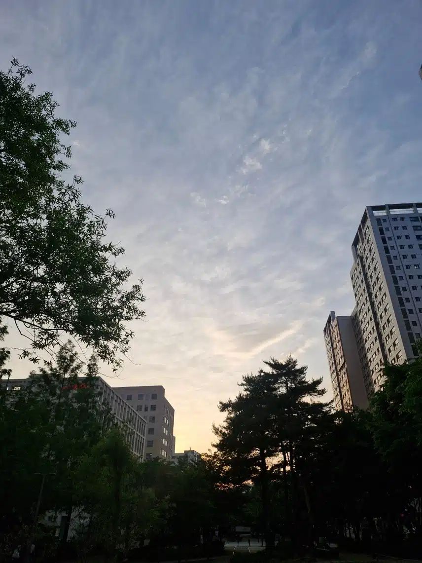 식후 산책하고 왔어요