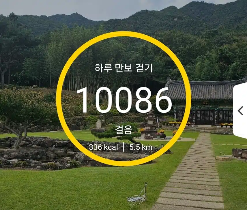 억지로 만보