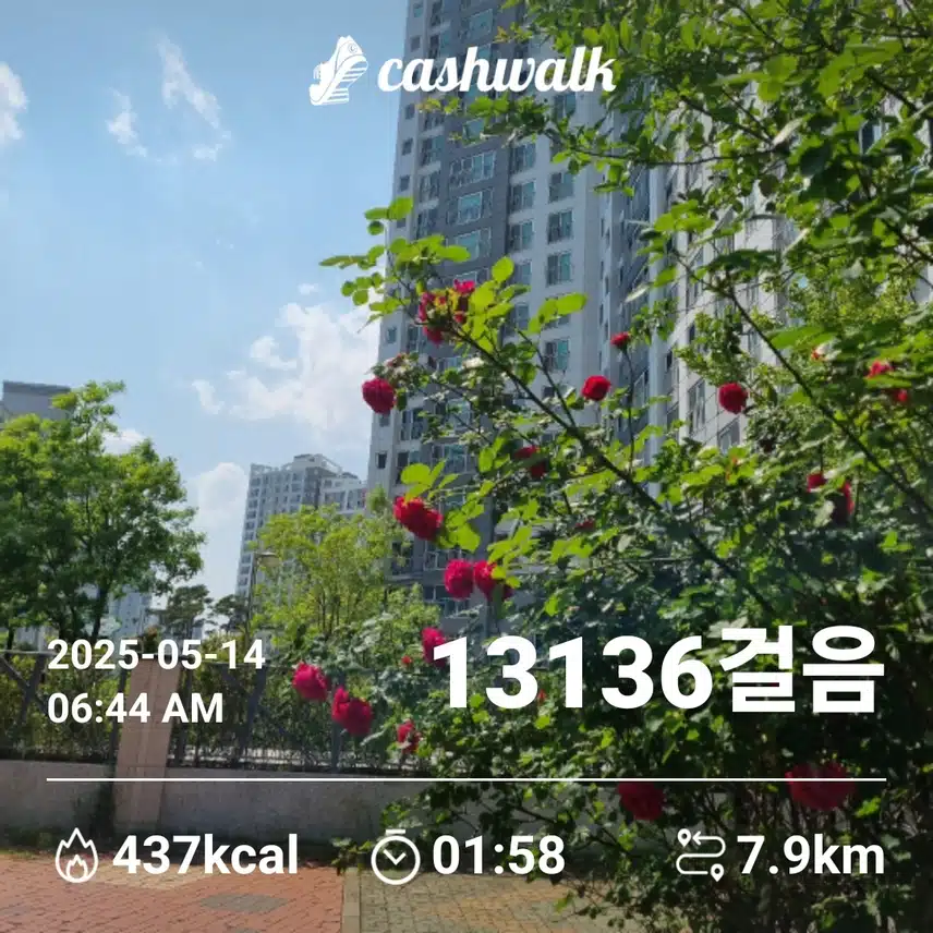   오늘도 새벽운동 만보걷기 오늘도 