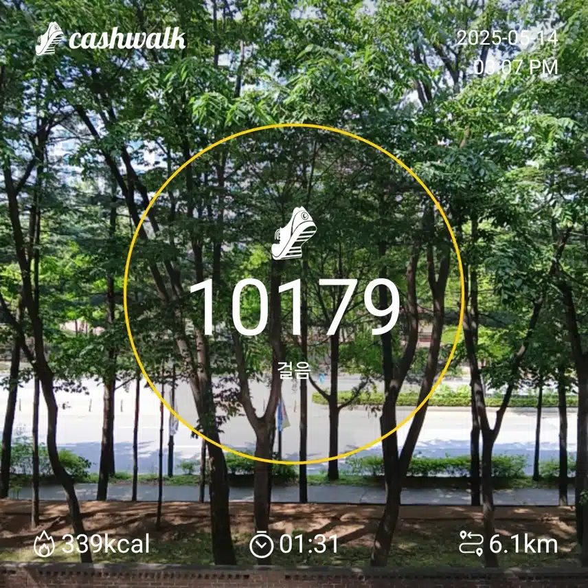 수요일 걷기운동^^