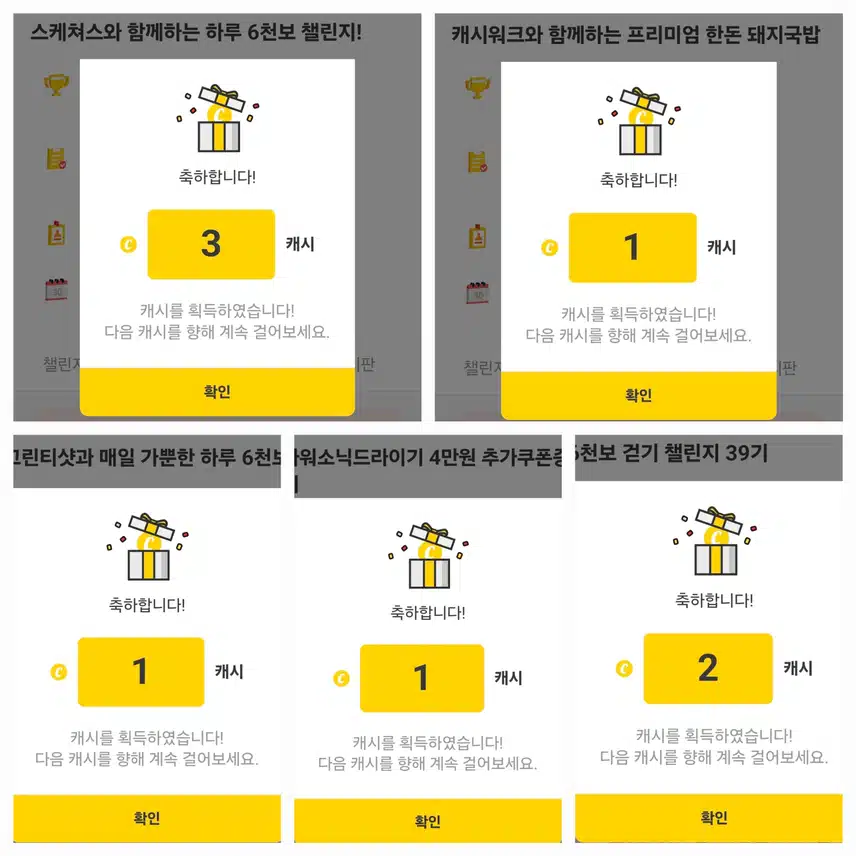 팀워크 하루 걷기 챌린지 인증 캐시 