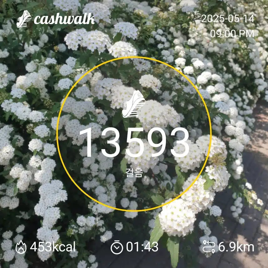 멋진 산책길